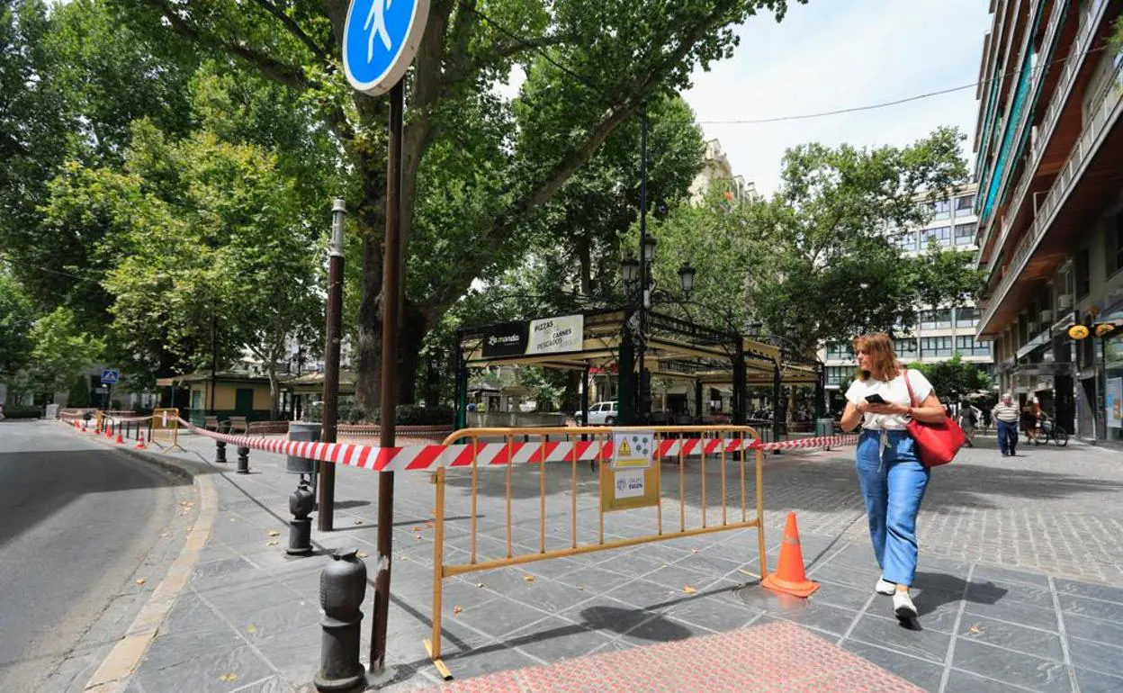 Sucesos en Granada: ¿Por qué están cercados os árboles de la famosaFuente de las Batallas?