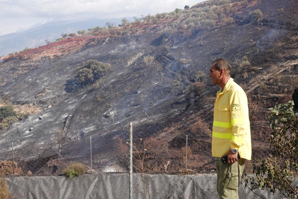 Así han actuado los dispositivos del plan Infoca en el incendio forestal de Pinos del Valle