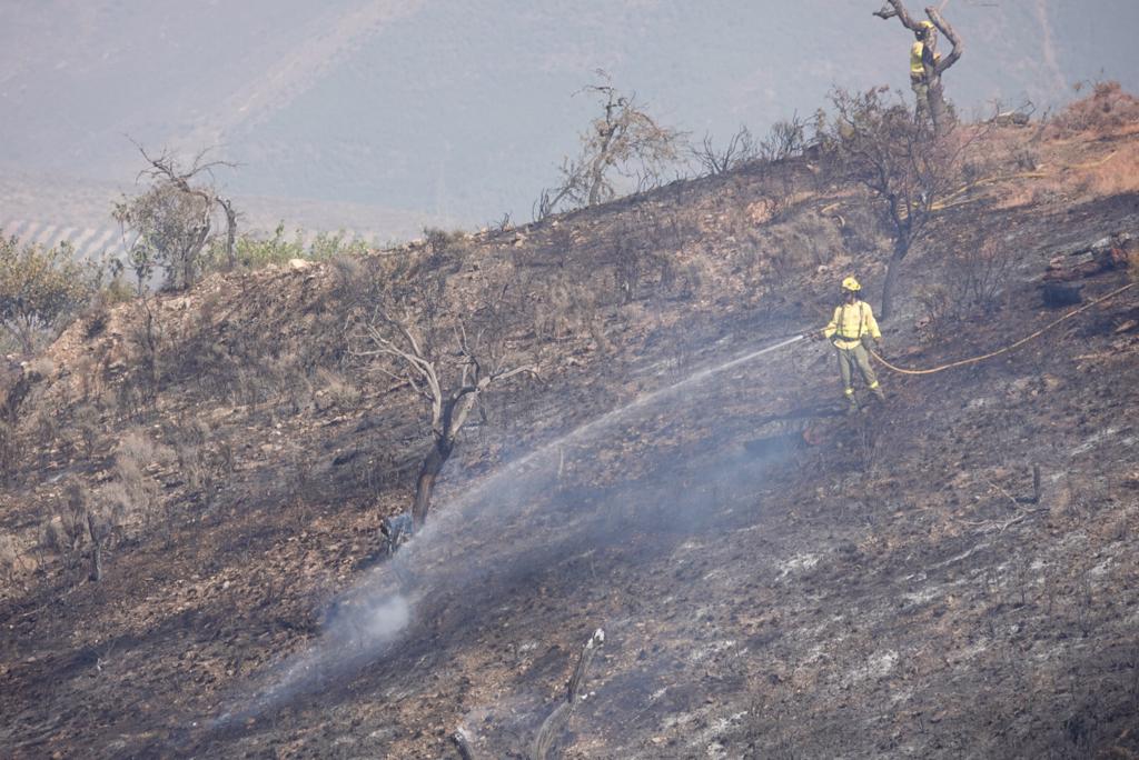 Así han actuado los dispositivos del plan Infoca en el incendio forestal de Pinos del Valle