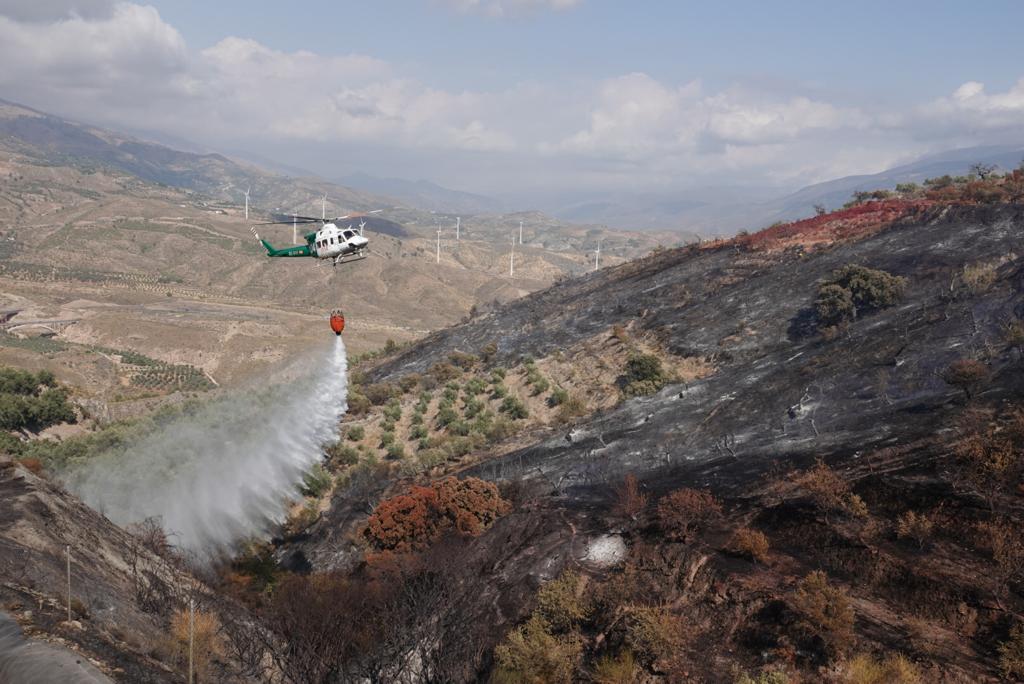 Así han actuado los dispositivos del plan Infoca en el incendio forestal de Pinos del Valle