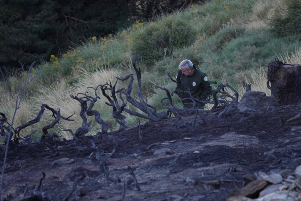 Fotos: Visitamos el lugar del incendio en Pradollano