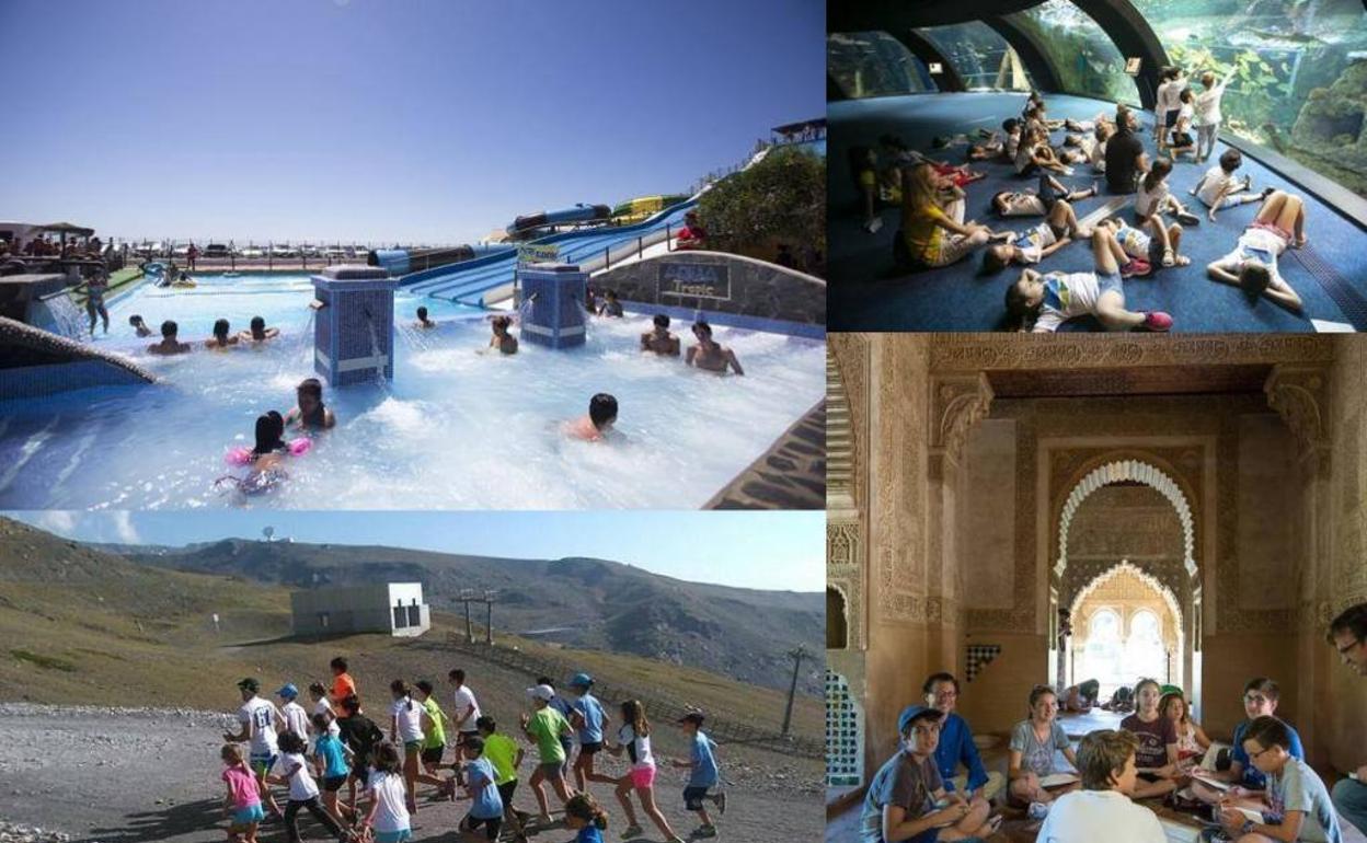 Planes con niños para el puente de agosto en Granada