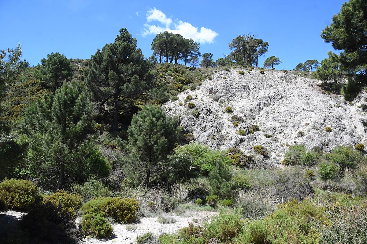 La antigua ruta de las diligencias y el tortuoso camino de Granada a la Costa en los años 60, una inmersión en tierras de paisajes quebrados que muestran múltiples ecosistemas y atesoran la historia de un territorio único 