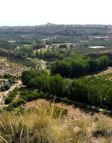 Imagen secundaria 2 - Embalse Fernando Abellán 