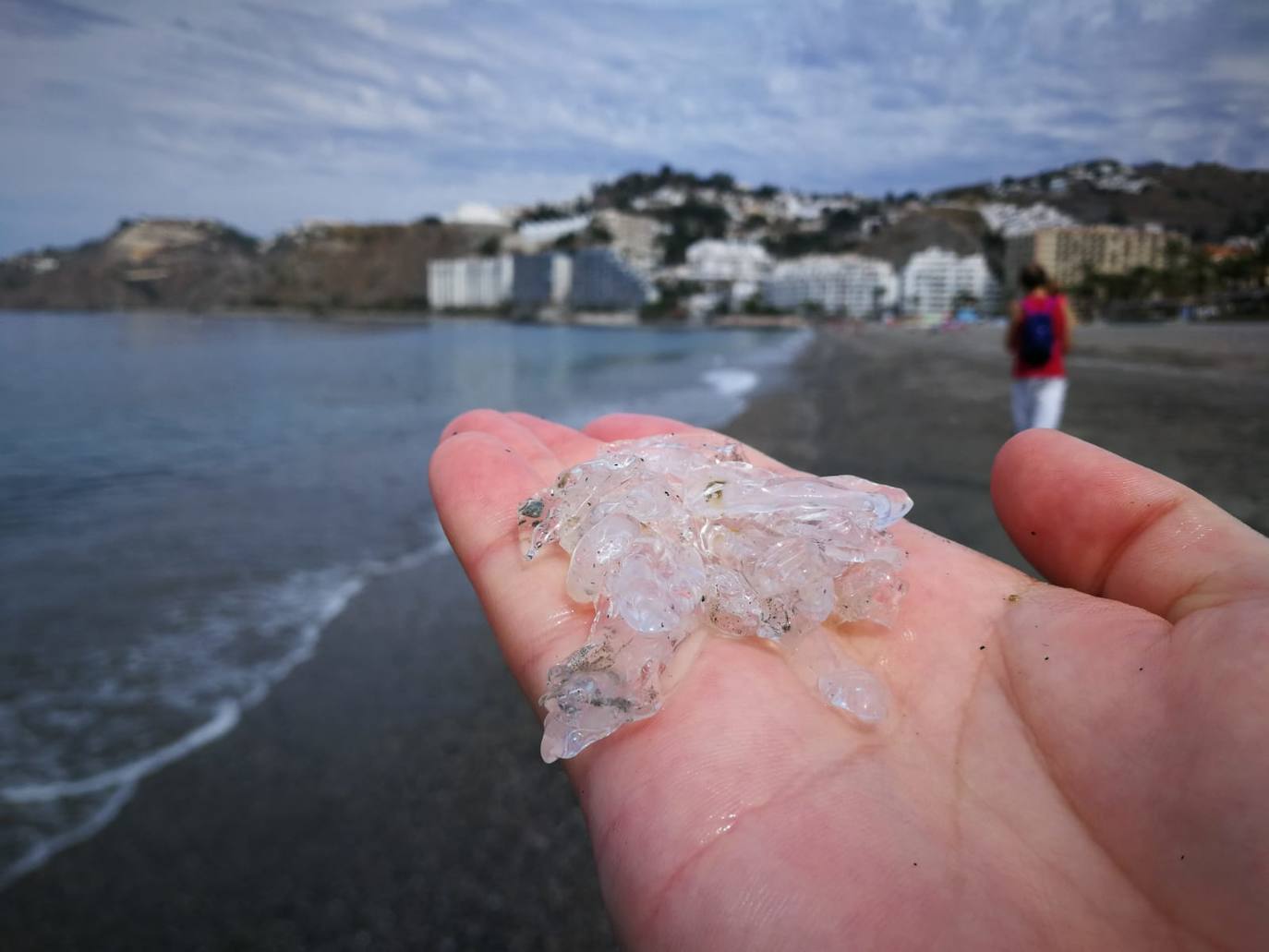 Salpas en Almuñécar en junio de 2019