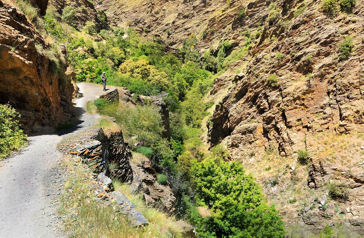 VEreda de la Estrella. Elementos del paisaje y biodiversidad que se han convertido en la imagen más representativa de la montaña nevadense