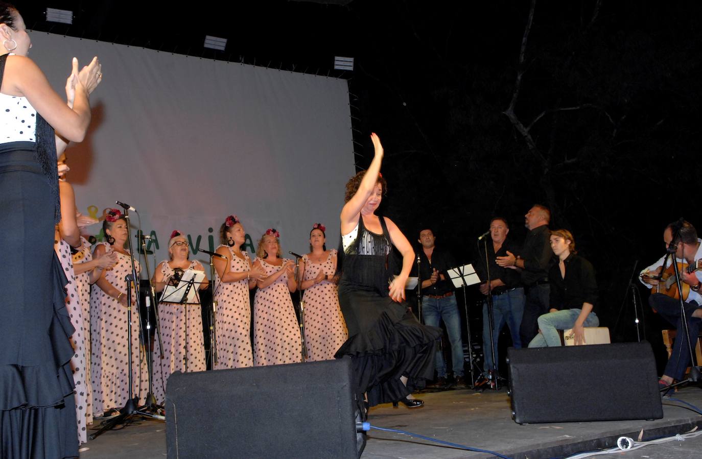 Participaron la Asociación Musical, el Coro de Música Tradicional, el grupo Fit Flam, Victoriano, entre otros artistas y grupos