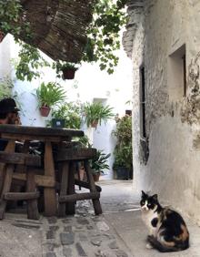 Imagen secundaria 2 - Pampaneira, un tranquilo deambular