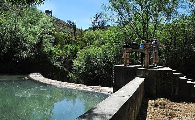 Imagen principal - Presa Real, sendero del Alarife, acequia del Tercio; Acequia Real 