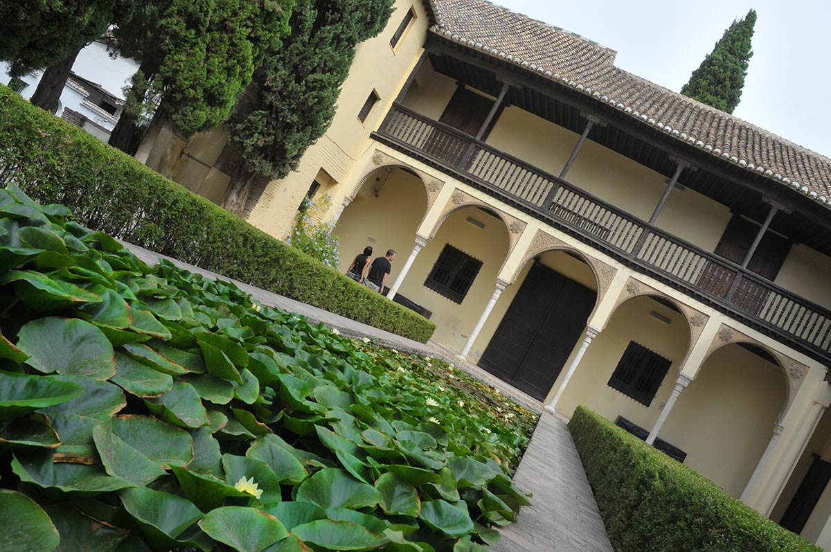Nenúfares en a casa del Chapiz. Una ruta para conocer el esplendor nazarí extramuros de la Alhambra, huertos ajardinados, palacios, baños y estanques en los espacios que en la ladera del Albaicín formaron parte de la corte de los sultanes 