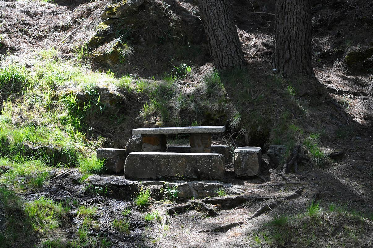 Entre La Peza y Quéntar, un humilde cauce protagoniza uno de los espacios fluviales con mayor biodiversidad del entorno de Granada, el río Aguas Blancas alimenta ecosistemas protegidos y aplaca la sed de la ciudad