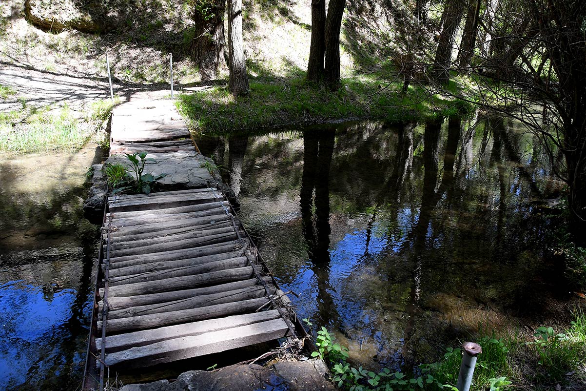 Entre La Peza y Quéntar, un humilde cauce protagoniza uno de los espacios fluviales con mayor biodiversidad del entorno de Granada, el río Aguas Blancas alimenta ecosistemas protegidos y aplaca la sed de la ciudad