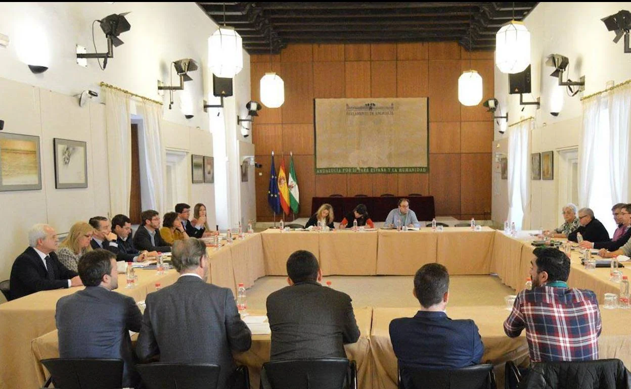 Reunión en el Parlamento andaluz de Jaén Merece Más y los grupos políticos, en enero de 2018.