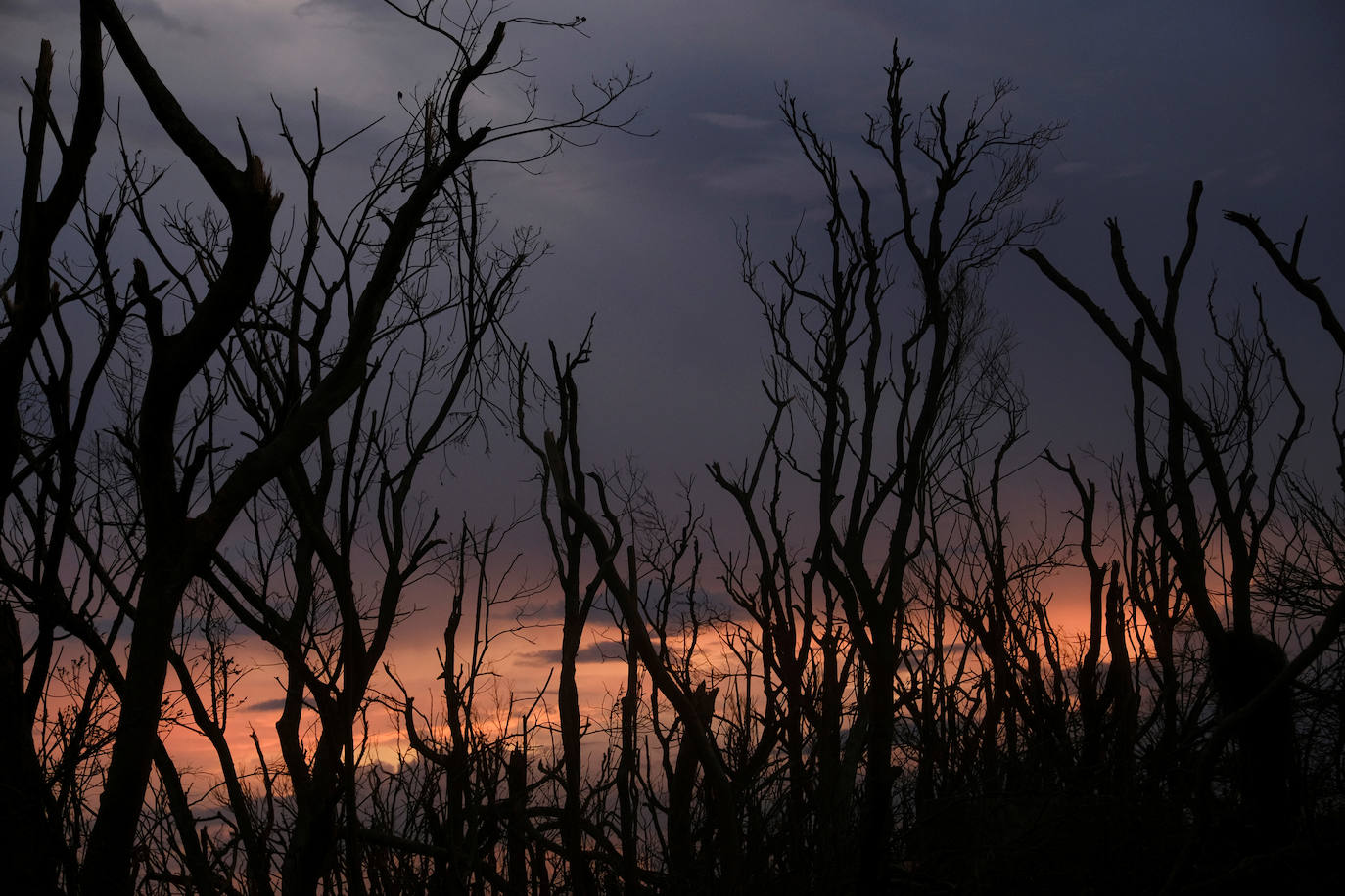 Fotos: Huracán Dorian deja al menos 20 muertos, desvasta Bahamas y hay 70.000 personas necesitan ayuda inmediata