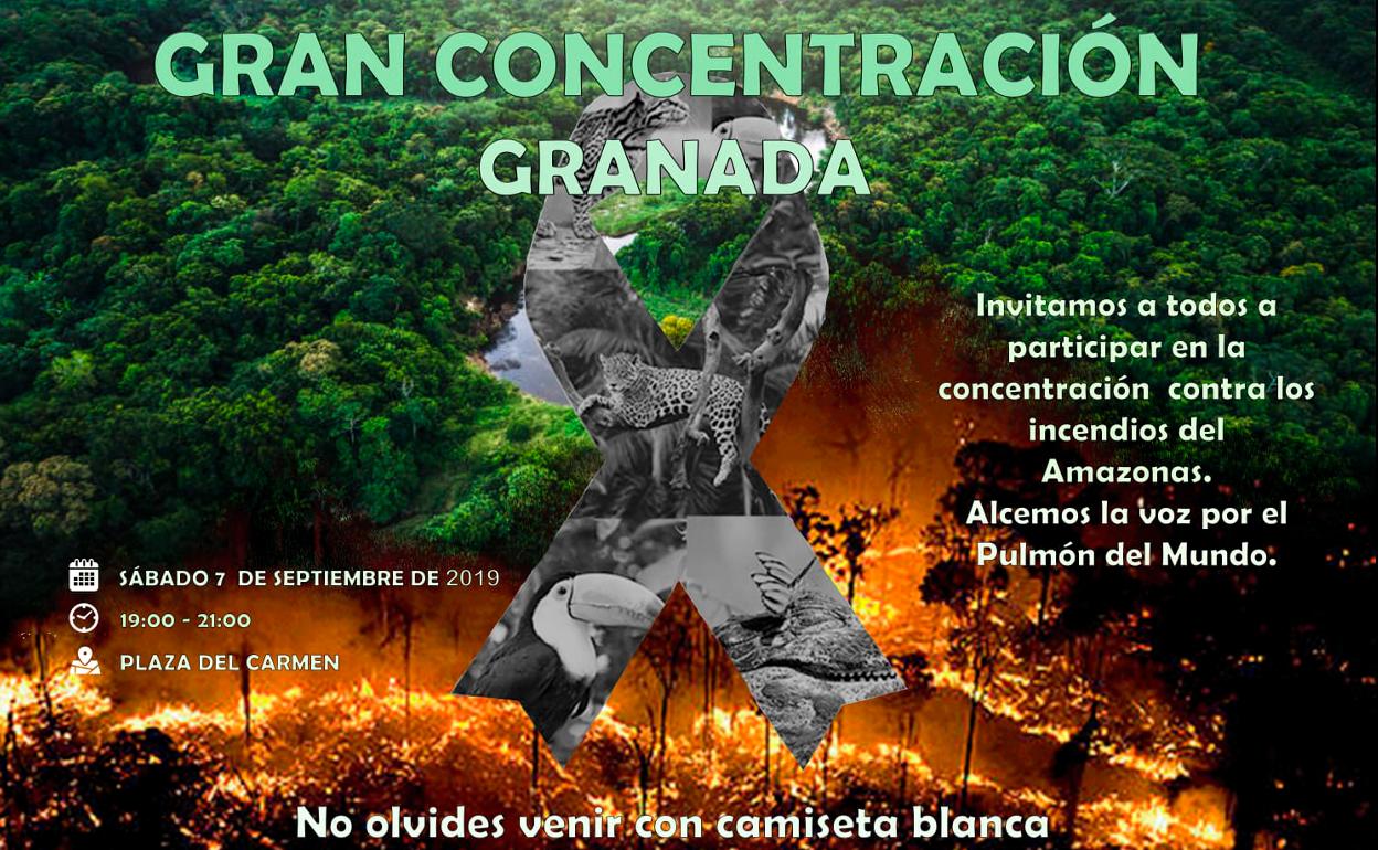 Bolivianos residentes en Granada convocan una concentración «por la Amazonia»