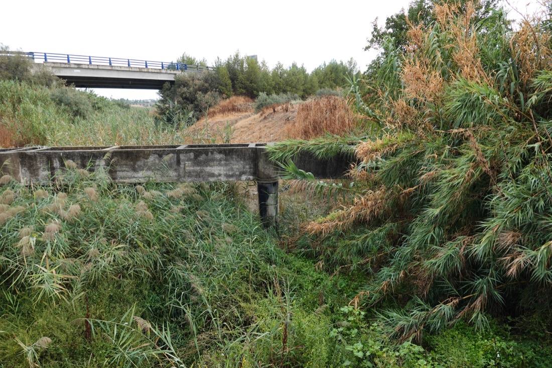 Así ha sido el recorrido de la Virgen de la Aurora por las calles de Granada