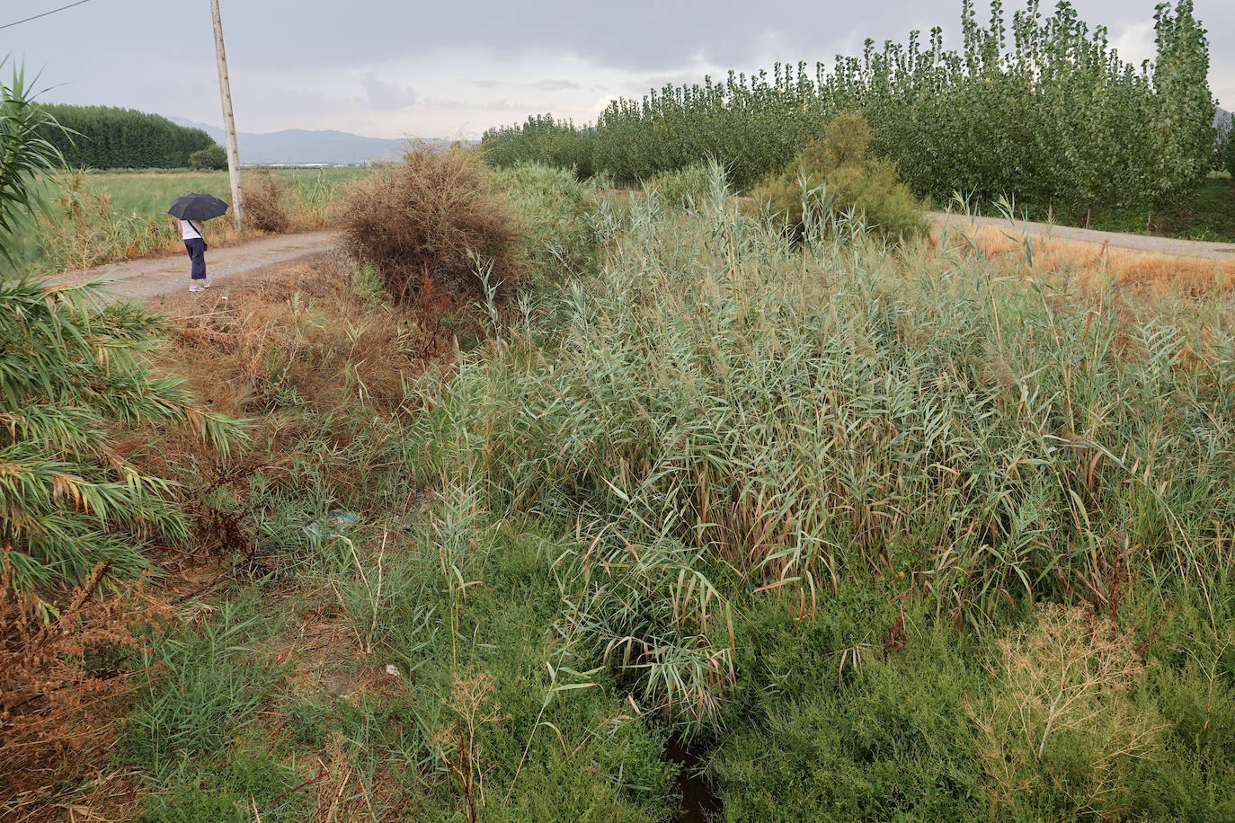 El cauce del Arroyo del Salado de Santa Fe. 