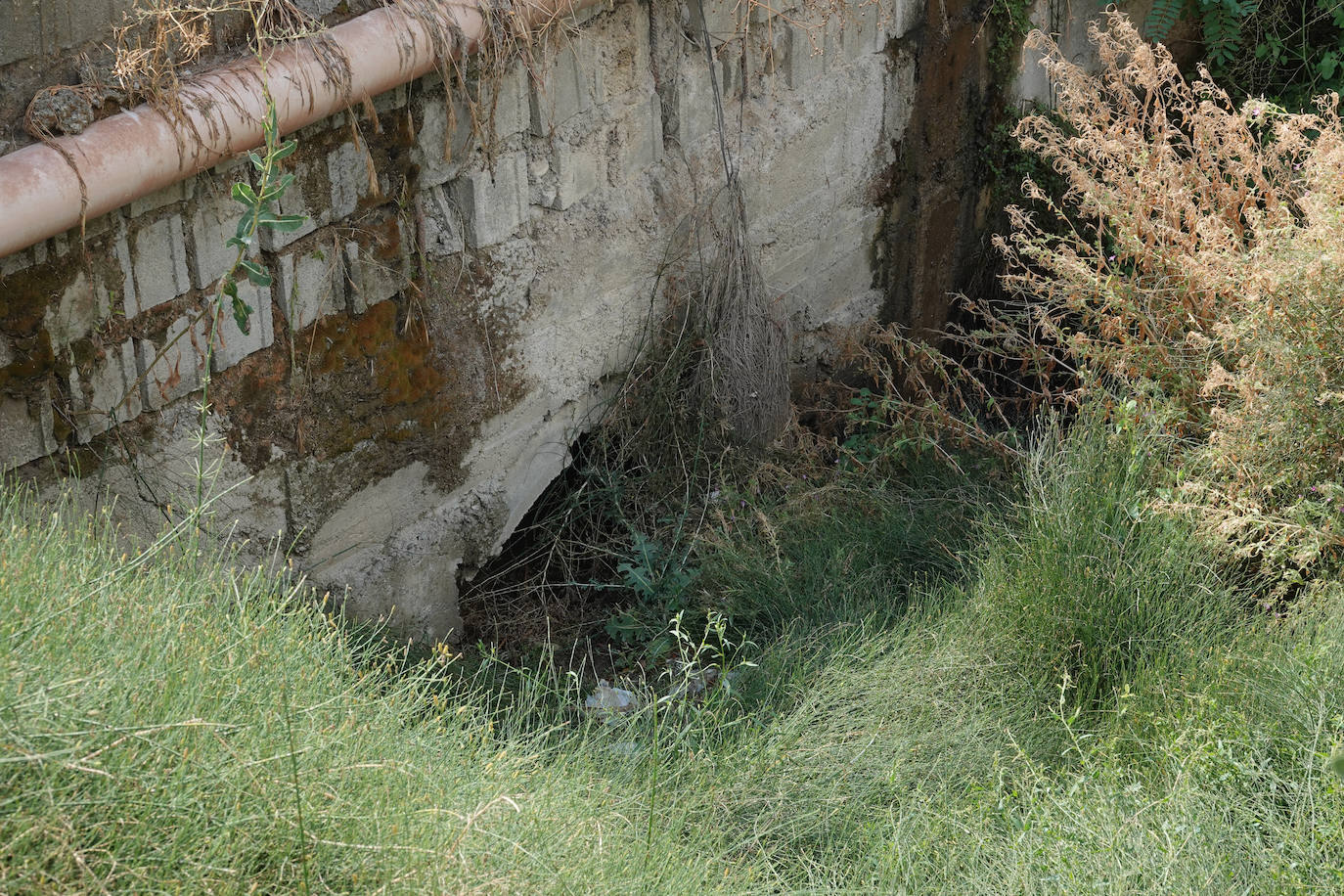 Cañada Honda, en Las Gabias, junto a Casas. 