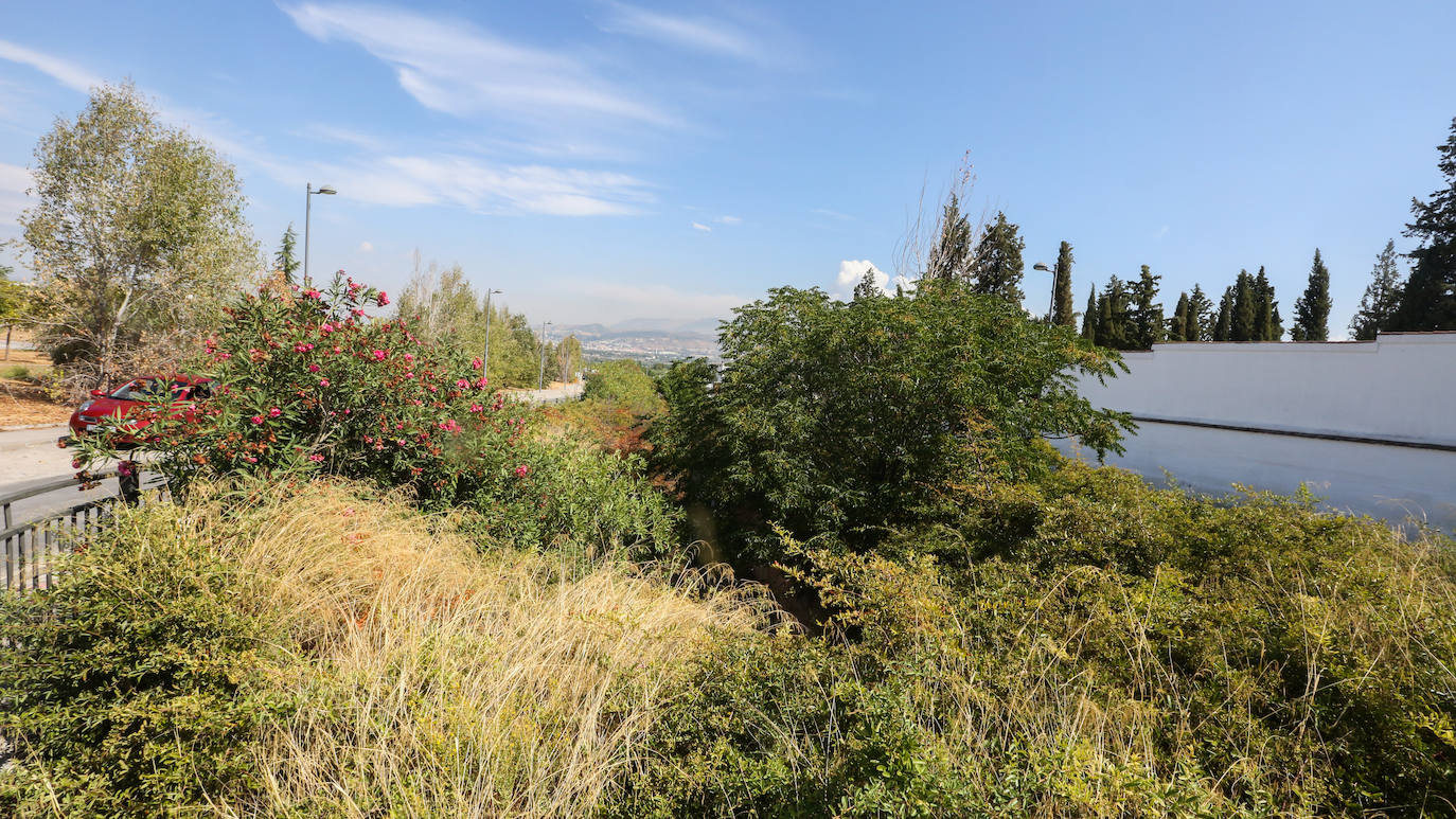 Barranco Hondo, en Ogíjares. 