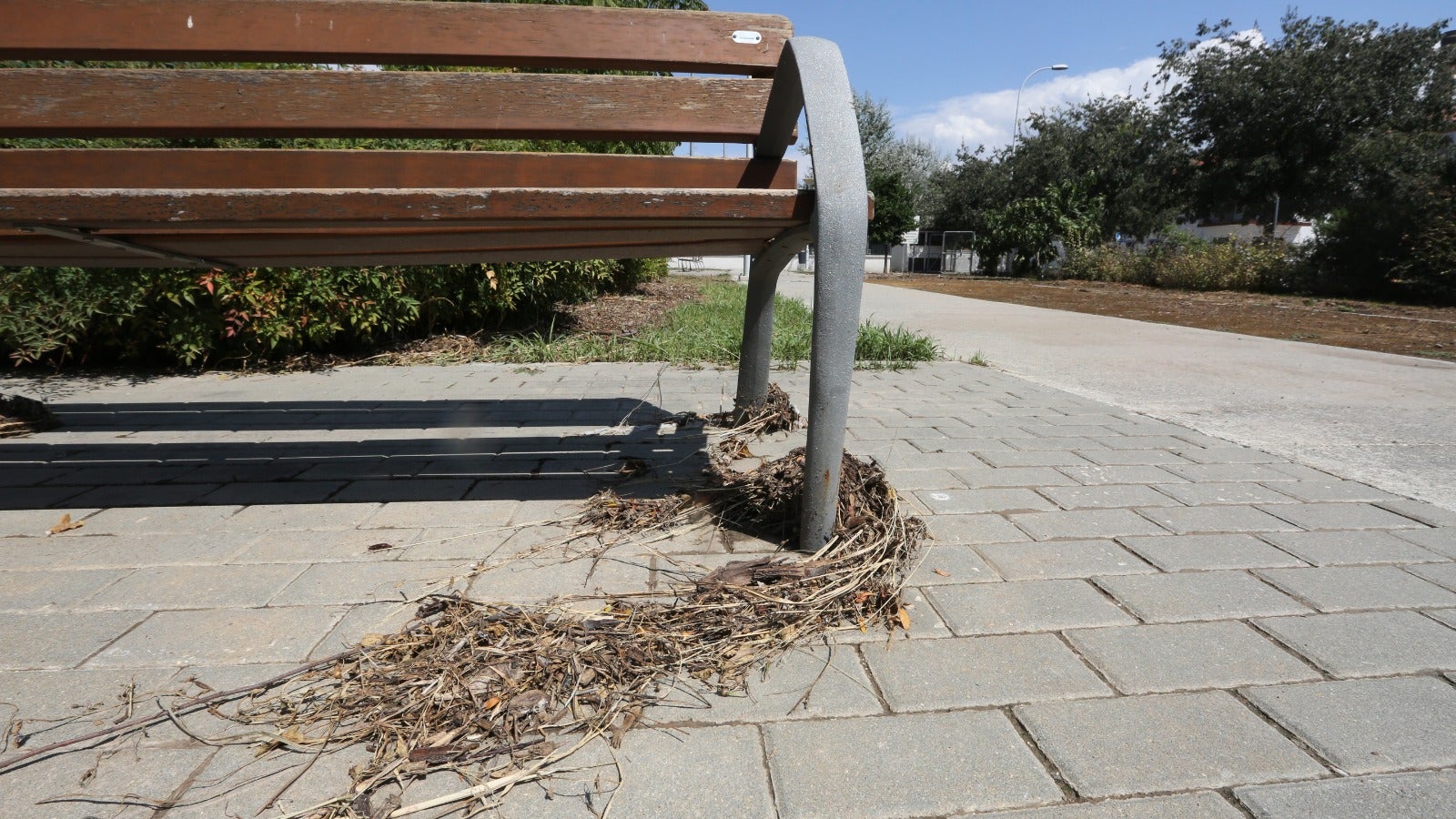 Fotos: Tormenta e inundaciones en Granada. La provincia recupera la normalidad tras las lluvias del domingo