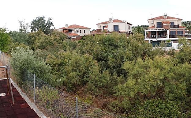 Rambla en la urbanización Balcones del Aire de Albolote por la que el Ayuntamiento está preocupado. 
