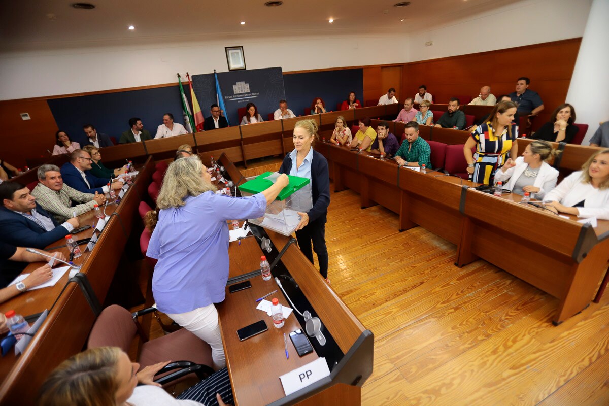 La Mancomunidad de Municipios de la Costa Tropical ha constituido este viernes su nuevo gobierno para los próximos cuatro años. María José Sánchez (PSOE) será la nueva presidenta de la institución, cargo en el que sustituye a su compañero de partido Sergio García Alabarce