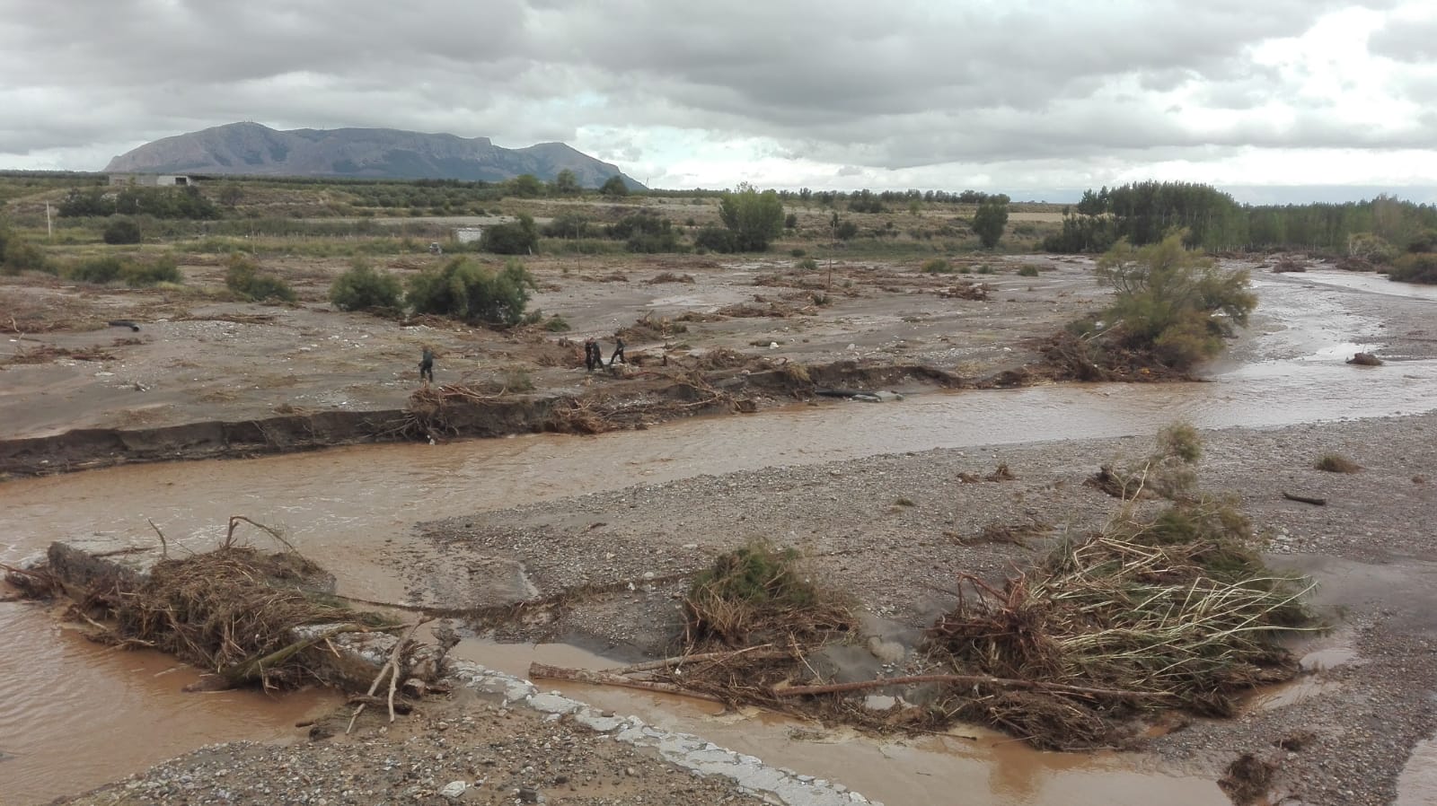 Zona en la que se buscaba el vehículo del fallecido en Baza 