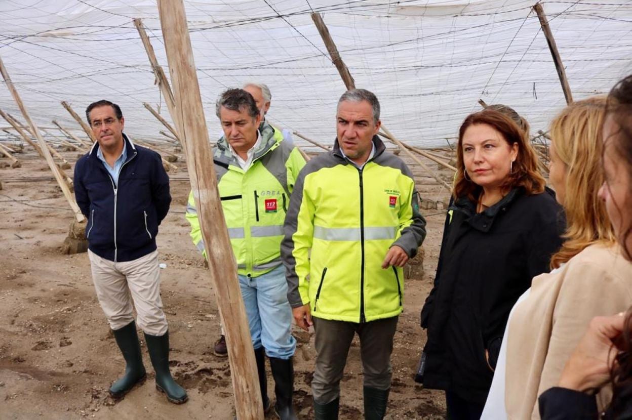 El consejero de Presidencia y la consejera de Agricultura de la Junta de Andalucía visitaron la zona de invernaderos afectada.