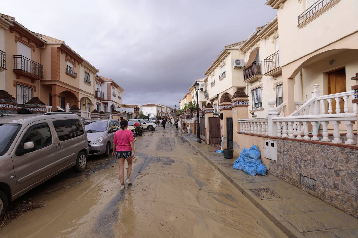 Calles de Las Gabias, inundadas 