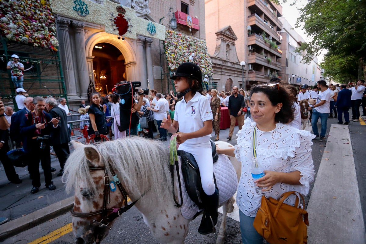 Miles de granadinos se reúnen en la Carrera para llenar de color la Basílica de las Angustias 