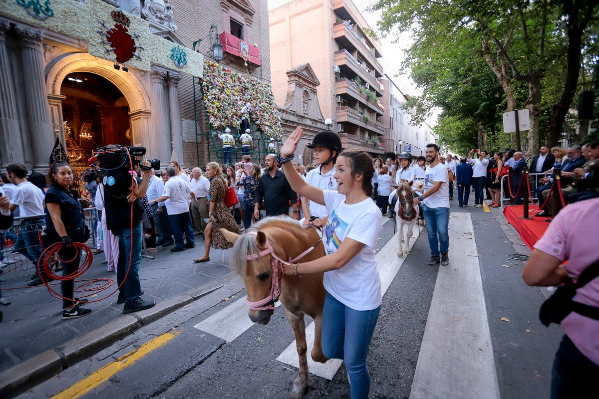 Miles de granadinos se reúnen en la Carrera para llenar de color la Basílica de las Angustias 