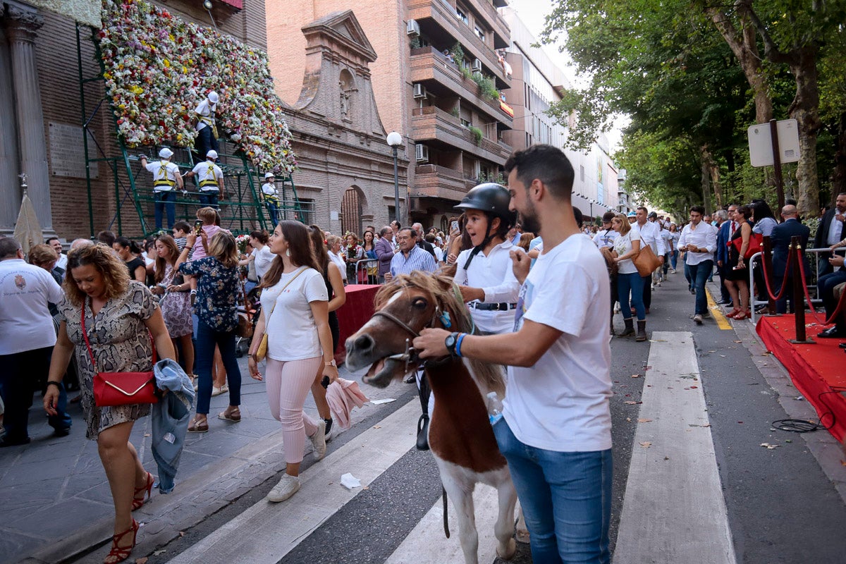 Miles de granadinos se reúnen en la Carrera para llenar de color la Basílica de las Angustias 