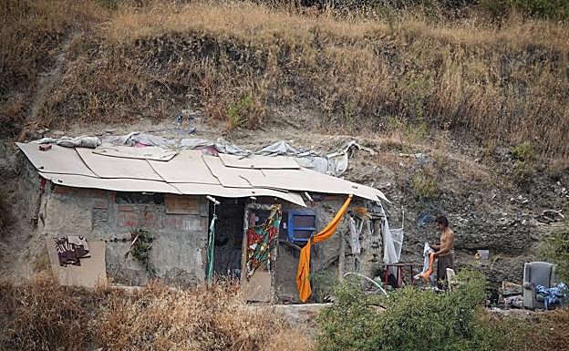 Inquilino de una de las cuevas junto al camino del Avellano. 