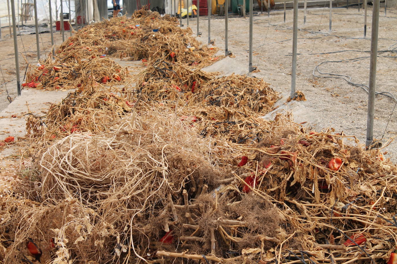 El cierre de la planta de reciclaje de Motril tras sufrir dos incendios está provocando una «parálisis» en el sector agrícola 