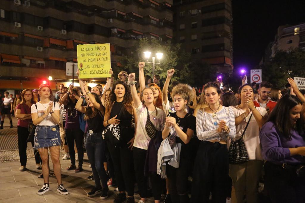Miles de personas convierten el Centro de la ciudad en violeta con una movilización para exigir seguridad «al volver a casa» y acabar con las muertes por violencia de género 