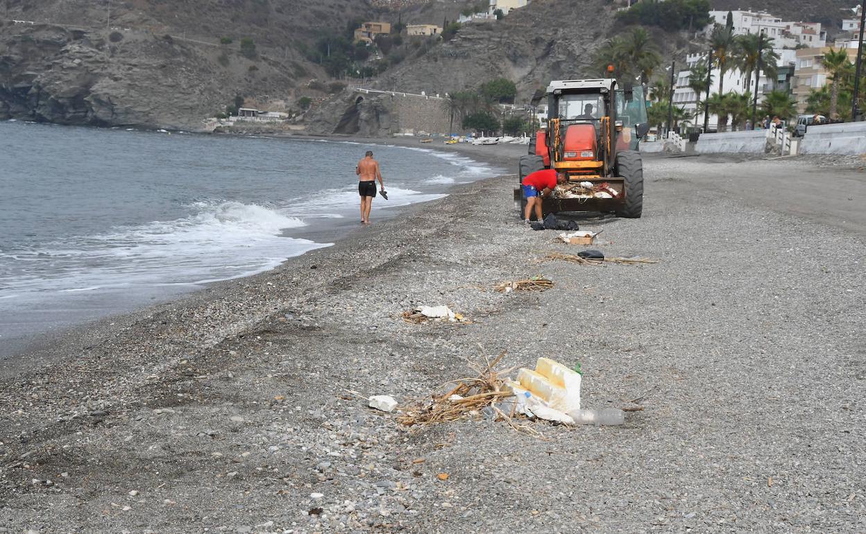 Los operarios han vuelto a limpiar las playas.