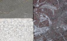 Los fósiles de la ciudad