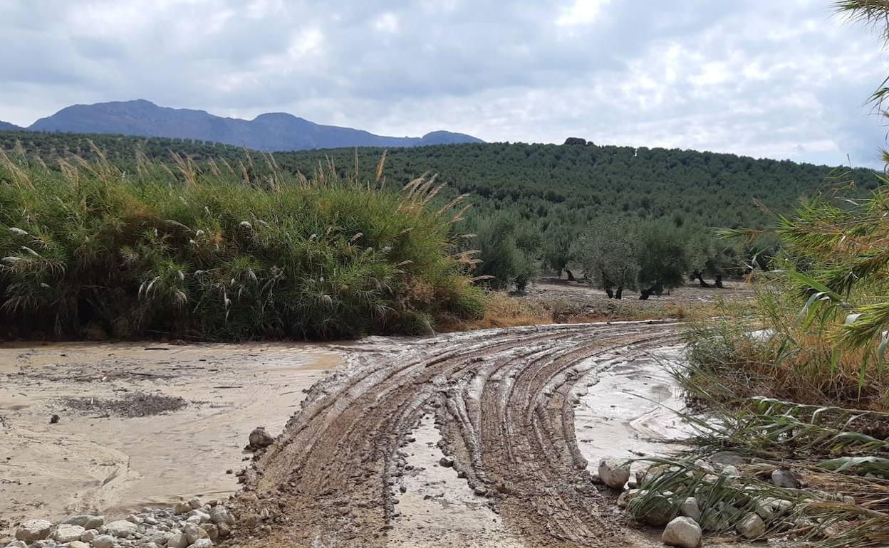 Camino afectado en Torres por el temporal. 