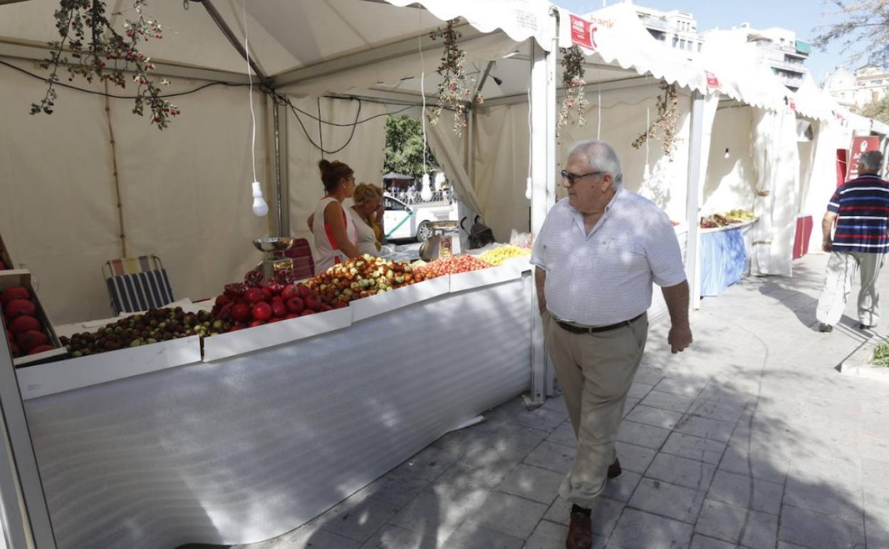 Noticias de Granada | Las cinco noticias de Granada que desde conocer este domingo a mediodía