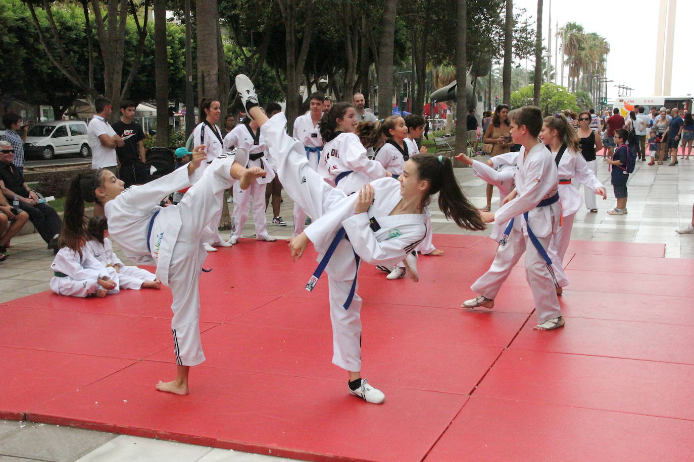Miles de almerienses han participado en la actividad 'Muévete en la calle: actívate' programada para promocionar la práctica deportiva con casi una treintena de exhibiciones deportivas