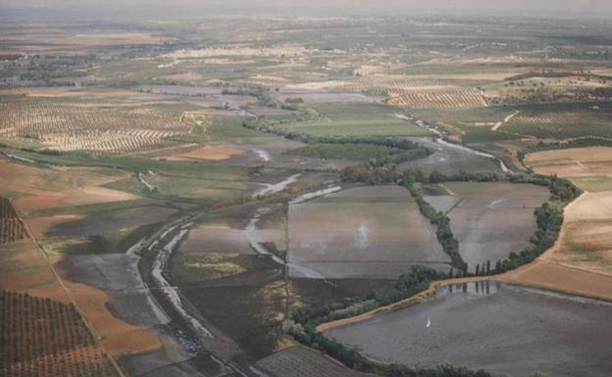 Alaya reabre el caso de la la mina Aznalcóllar y provoca el cese del presidente de la SEPI