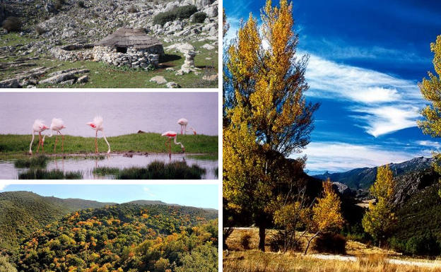 La mitad sur de España cuenta con parajes inigualables. Te ofrecemos una recopilación de 15 enclaves naturales que son especialmente propicios para ser visitados en otoño