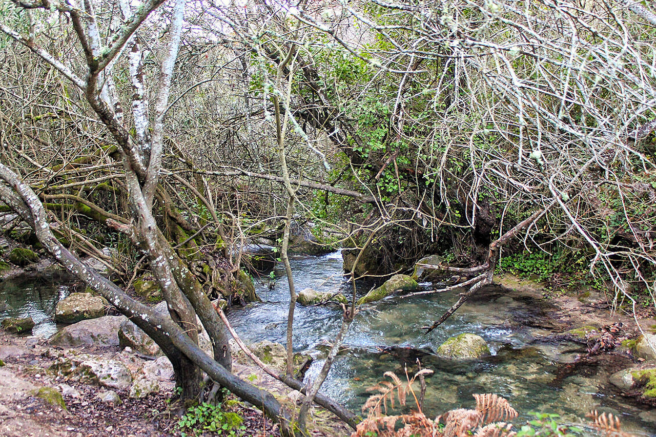 Parque Natural de la Sierra de Grazalema (Cádiz y Málaga)