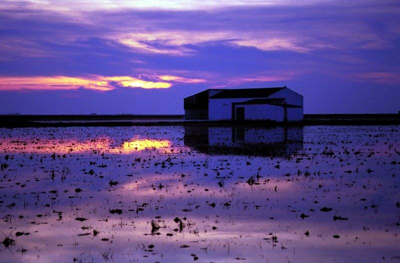 Parque Nacional de Doñana (Huelva, Sevilla, Cádiz)