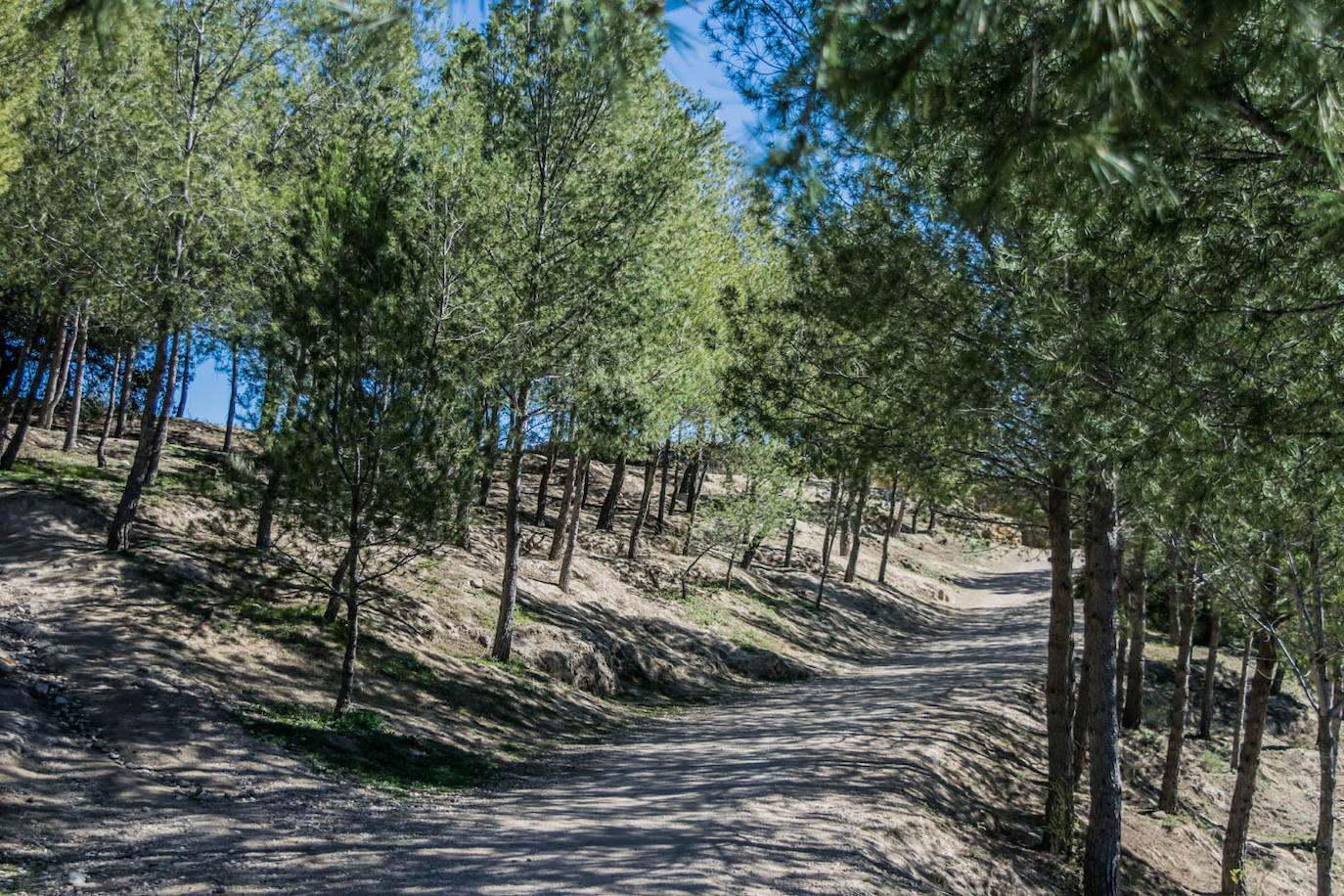 Fuentes del Marqués (Murcia)