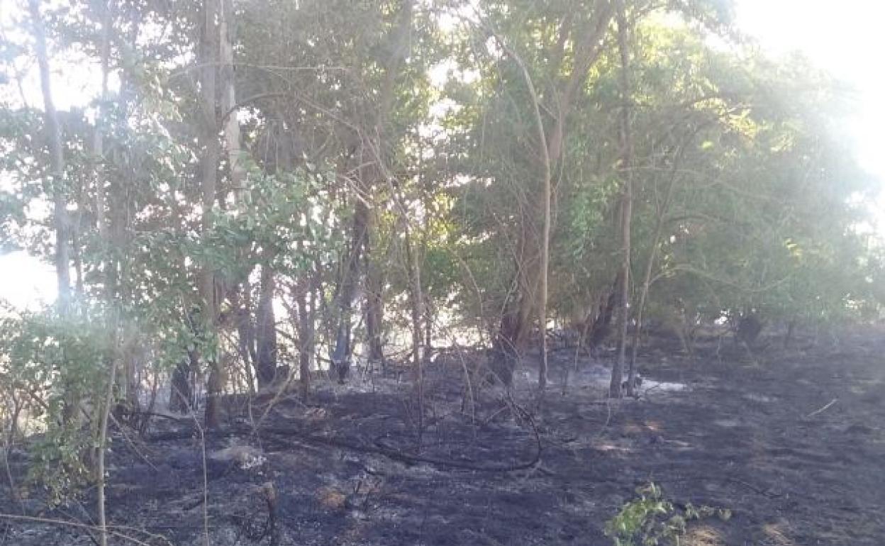 Investigan a una persona por un incendio forestal en Purullena