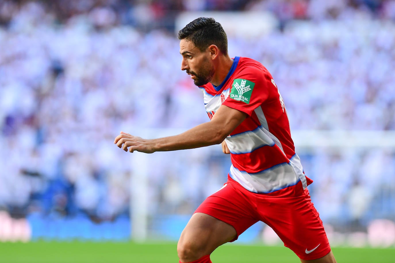 Fotos: Todos los detalles del Real Madrid-Granada