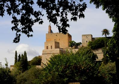 Imagen secundaria 1 - Sapo partero bético; La Torre de la Vela preside este espacio; Sistemas de ayuda para que los anfibios puedan entrar y salir de las albercas