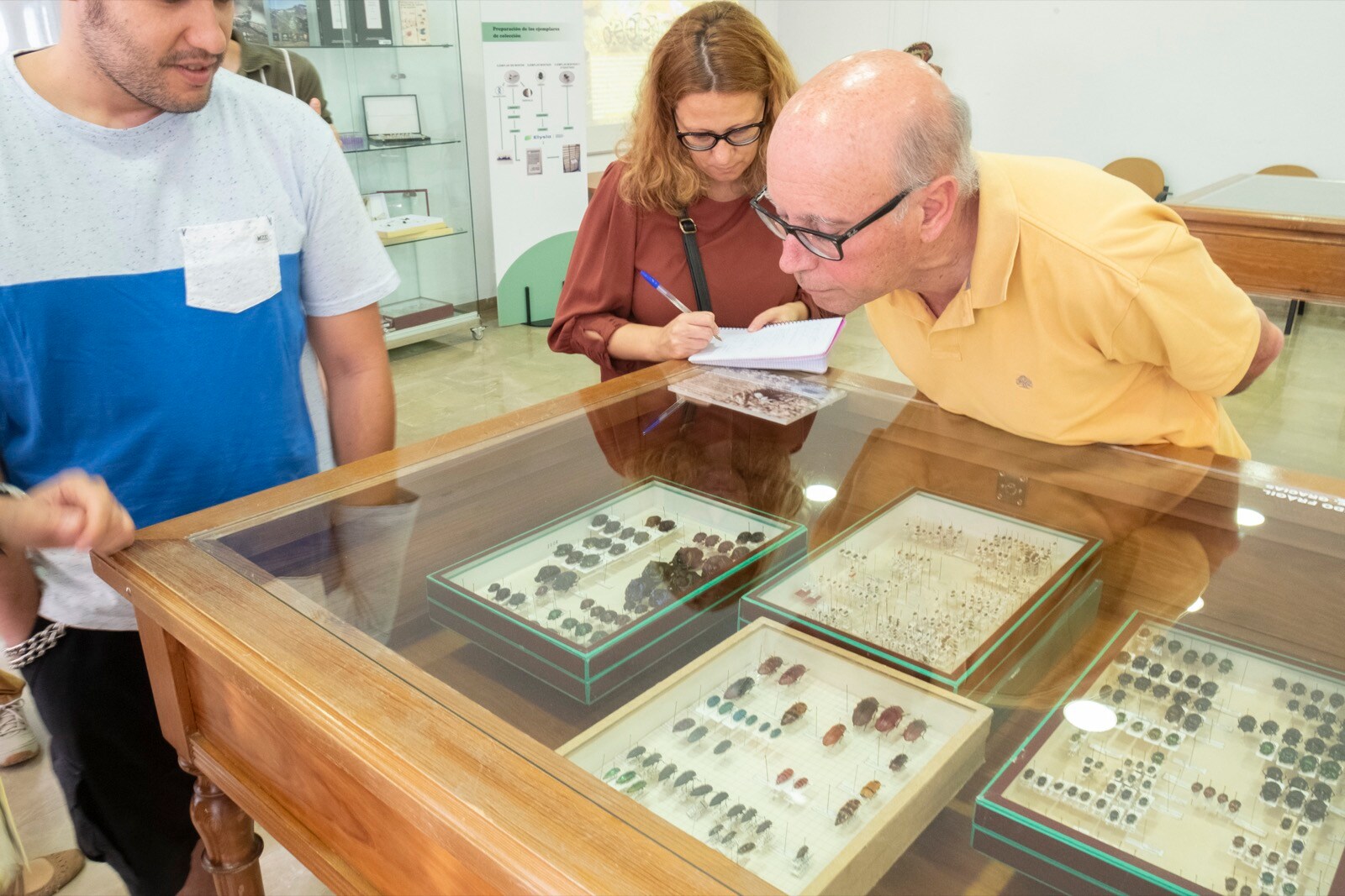 La UGR cuenta con una colección en el departamento de Zoología de más 200.000 ejemplares y 10.000 especies