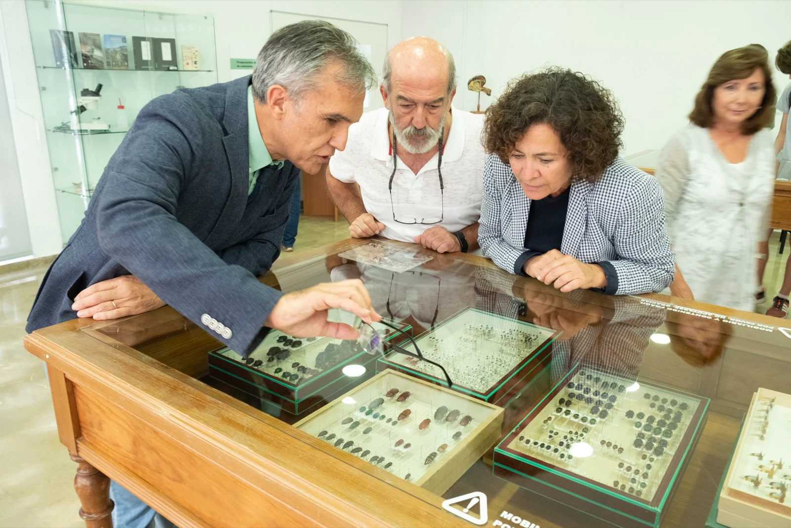 La UGR cuenta con una colección en el departamento de Zoología de más 200.000 ejemplares y 10.000 especies